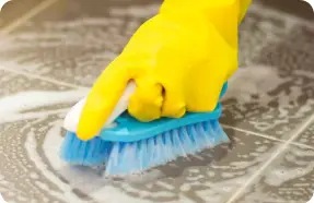 Special Applications | Latex Coloration